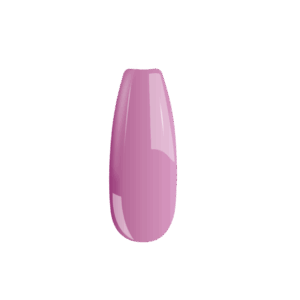 B101