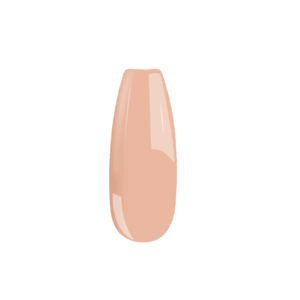 B119