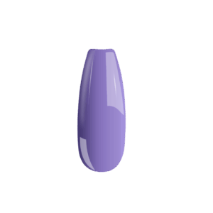 19 B019