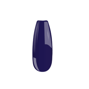 26 B026