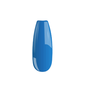31 B031