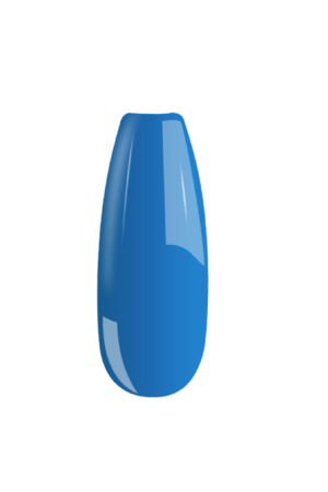 B031