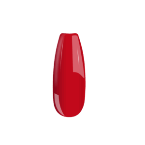 4 B004