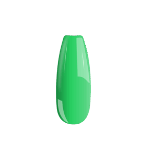 46 B046