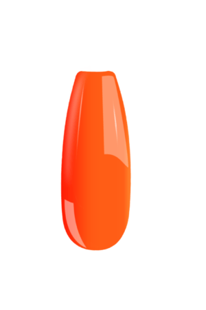 B055