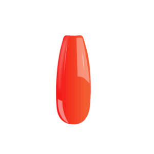 B058