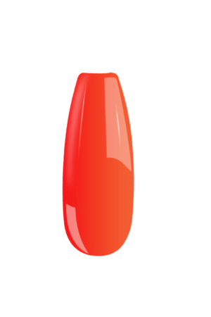 B058