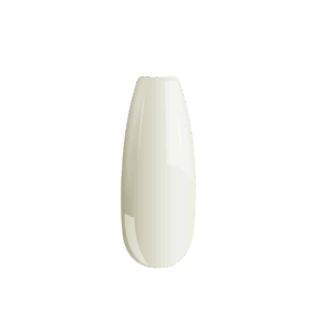 B091