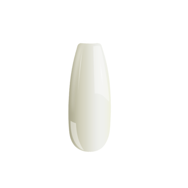 B091