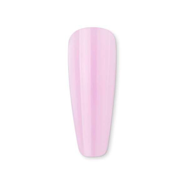 K06
