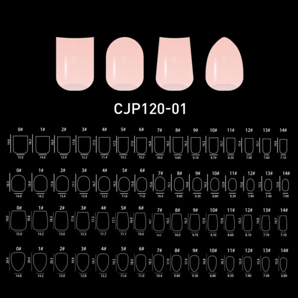 CJP120-02 – Image 2