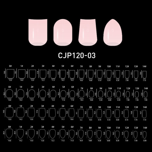CJP120-03 – Image 2