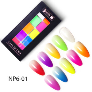 NP6-01 NP6-01